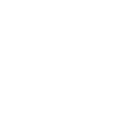 mechanic 1